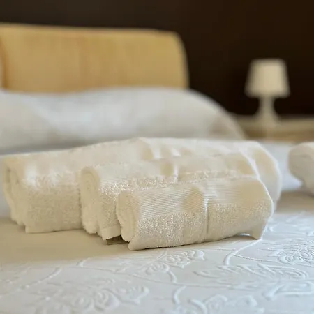 Moonhouse * 세글리에 메사피카